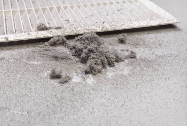 Best Home Air Vent Cleaning  in Bethel Island, CA